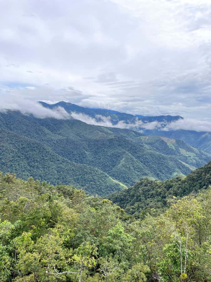 Santa Marta: Minca Coffee, Cocoa, & Waterfall Full-Day Trip - Coffee at a small plantation