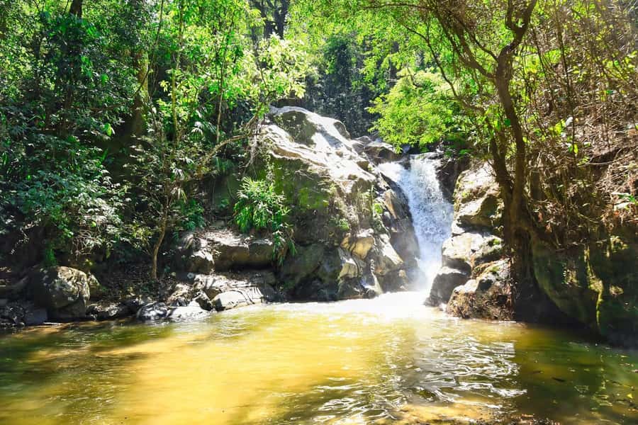 Santa Marta: Minca Coffee, Cocoa, & Waterfall Full-Day Trip - Lunch at a bamboo restaurant above Minca