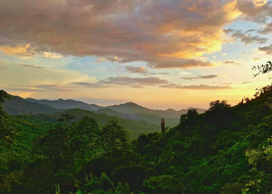 Santa Marta: Minca Coffee, Cocoa, & Waterfall Full-Day Trip - Making chocolate from Colombian cocoa
