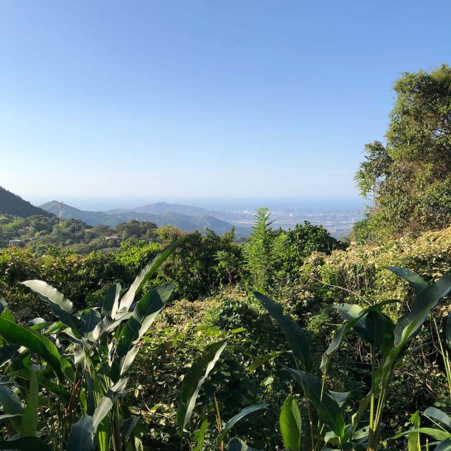 Santa Marta: Trekking in Minca Complete Waterfall Circuit - Practical advice for a better day
