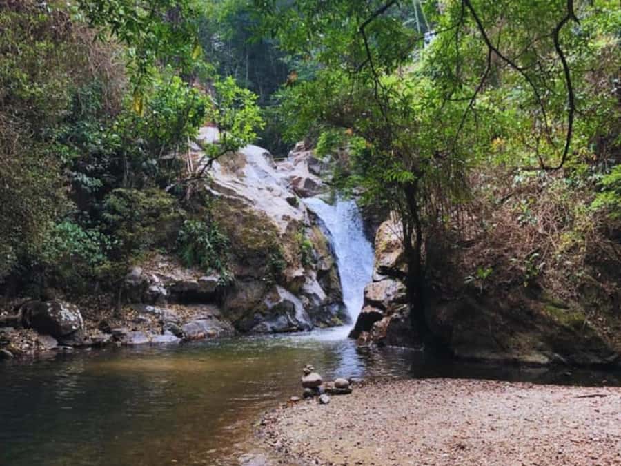 Santa Marta: Trekking in Minca Complete Waterfall Circuit - The backup plan is part of the deal