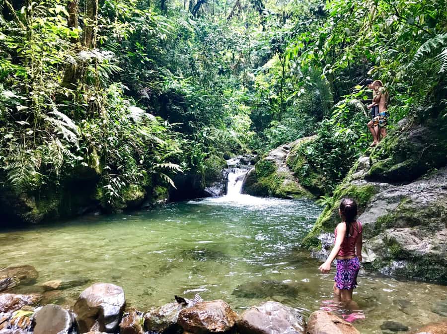 Santa Rita Waterfall and Salento Private Tour - Key Points To Know Before You Go