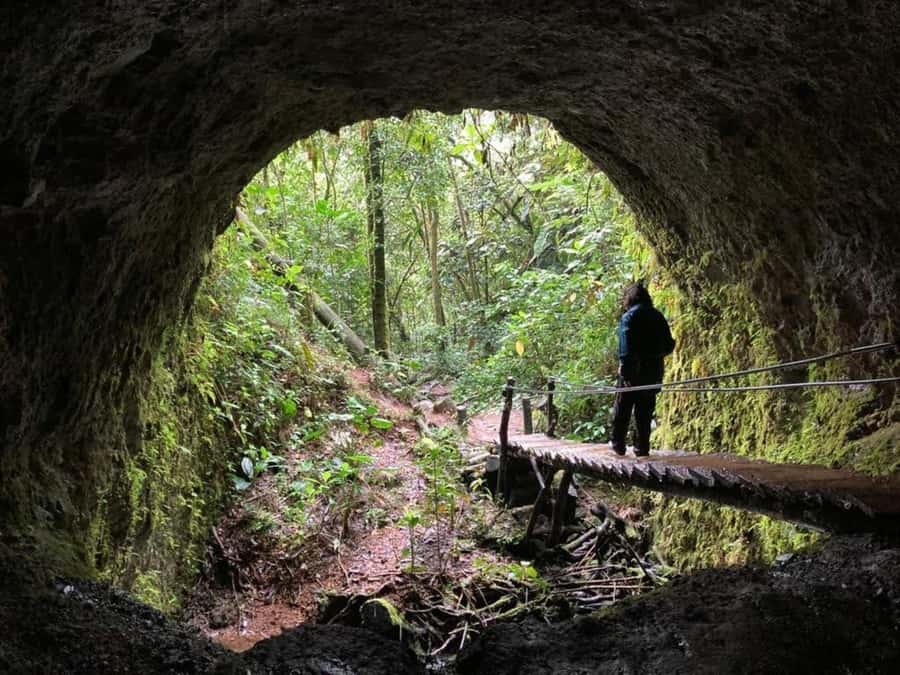 Santa Rita Waterfall and Salento Private Tour - Why Pair a Forest Hike With Salento?