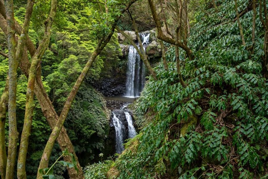 São Miguel Island: Chasing Waterfalls in the Azores Tour - Key points at a glance