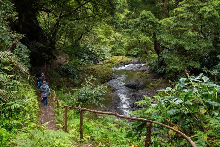 São Miguel Island: Chasing Waterfalls in the Azores Tour - Why this tour works for seeing São Miguel’s waterfalls
