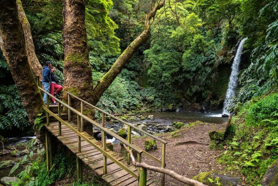 São Miguel Island: Chasing Waterfalls in the Azores Tour - Short forest trails with real footing underfoot