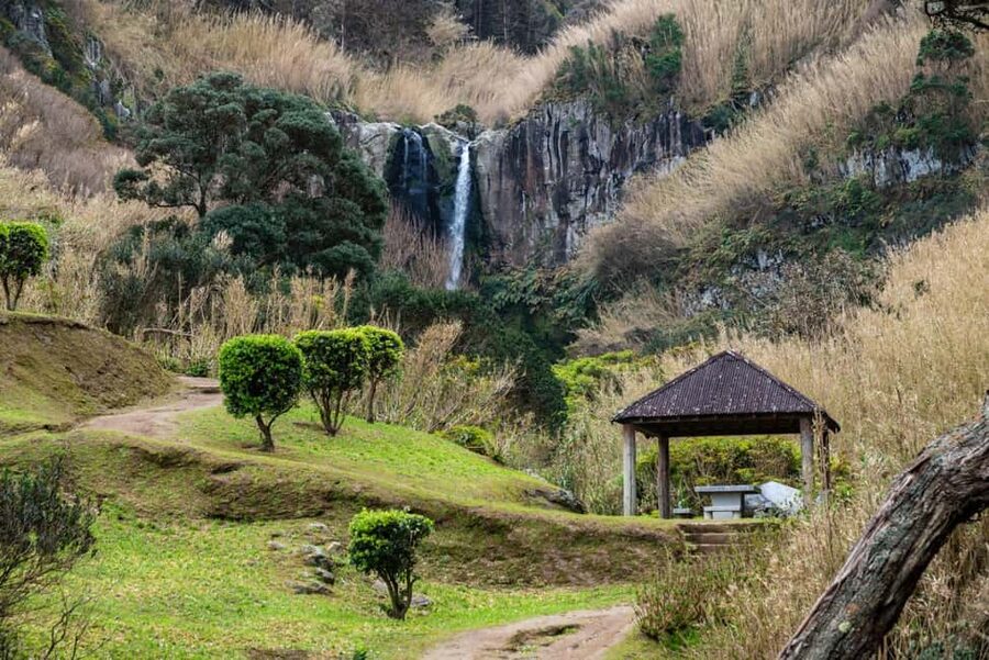 São Miguel Island: Chasing Waterfalls in the Azores Tour - The morning pickup and the nine-seat van