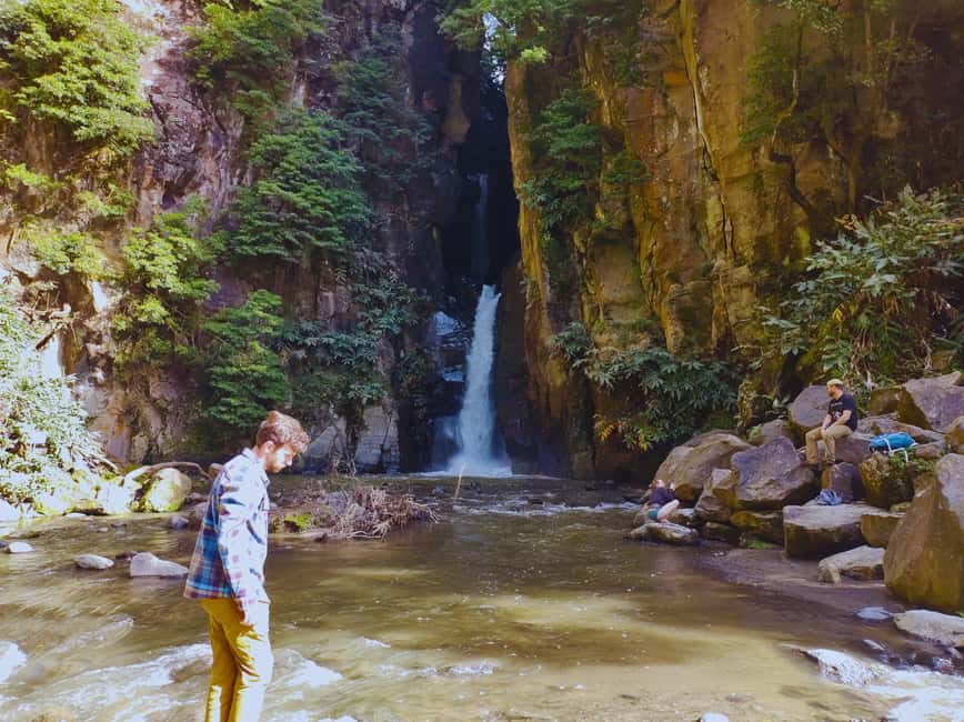 São Miguel: Majestic North Tour (Waterfalls w/Lunch) - Why this seven-hour tour works well