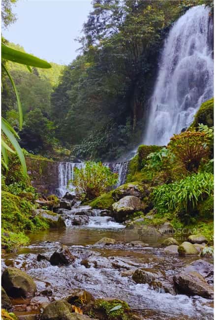São Miguel: Majestic North Tour (Waterfalls w/Lunch) - Ribeira Grande, beaches, and the northern coast