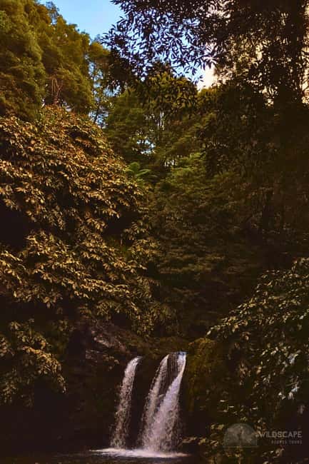 São Miguel: Majestic North Tour (Waterfalls w/Lunch) - What the guide and vehicle add