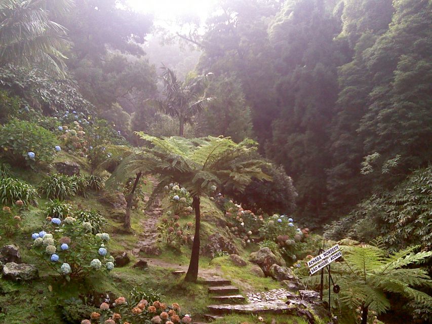 São Miguel: Nordeste, Cliffs & Waterfall Day Trip with Lunch - Five things to know before booking