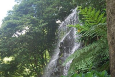 São Miguel: Nordeste, Cliffs & Waterfall Day Trip with Lunch