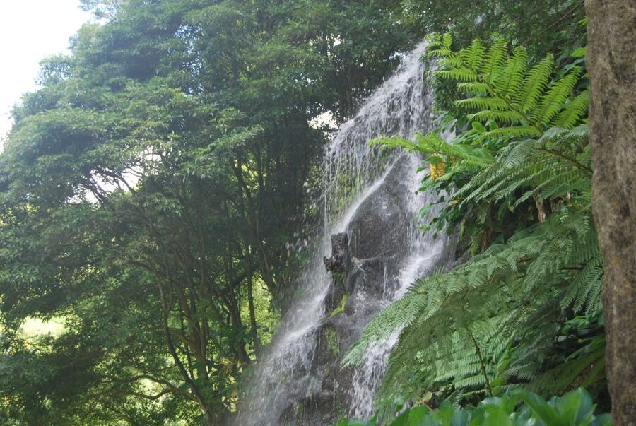 São Miguel: Nordeste, Cliffs & Waterfall Day Trip with Lunch - Starting from Ponta Delgada and heading north