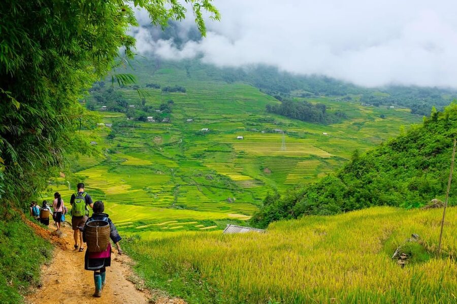 SaPa: 2-Day Villages,Rice Fields, Love Waterfall Hiking Tour - Day two: Suoi Thau, Phin Ho, and Ban Khoang
