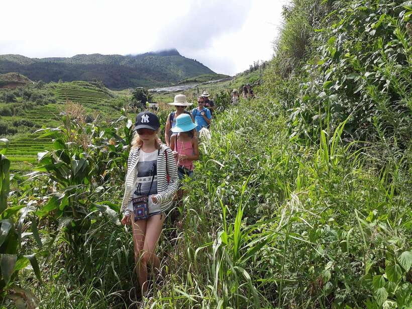 Sapa: Love Silver Waterfall, LonelyTree in Heaven-Rice Field - Rice terraces and village paths below Fansipan