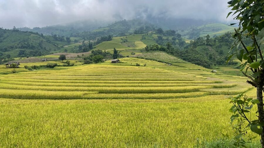 Sapa: Motorbike Tour 1 Day Visit Waterfalls & Local Villages - Riding into Muong Hoa Valley