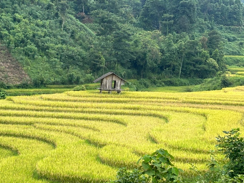 Sapa: Motorbike Tour 1 Day Visit Waterfalls & Local Villages - Ta Van, Hau Thao, and Su Pan