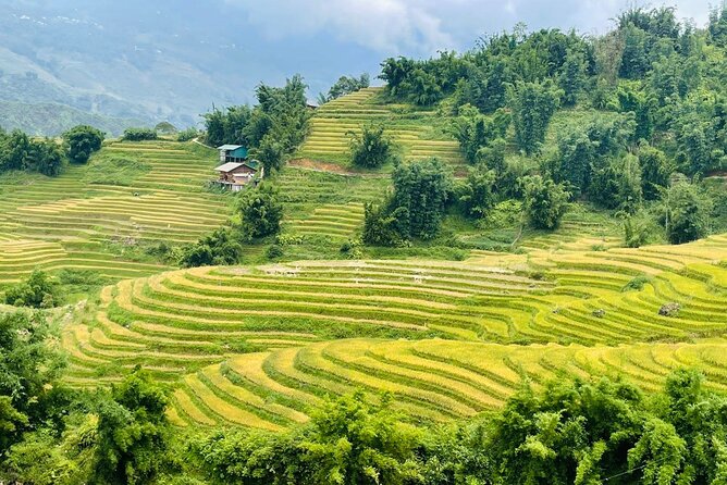 Sapa Motorbike Tour With Local Guide 1 Day - Waterfalls, Villages - Tram Ton and Love Waterfall: Forest, Stream, and More Steps
