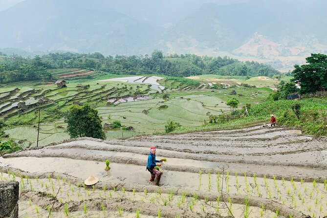 Sapa Motorbike Tour With Local Guide 1 Day - Waterfalls, Villages - Local Lunch and the Best Part of the Pace