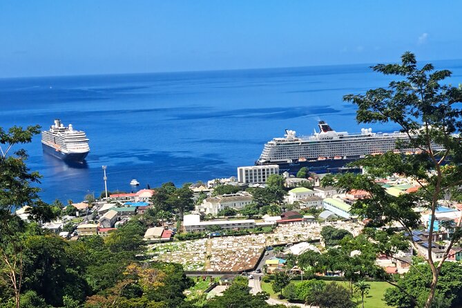 Scenic Tour of City and Rainforest, Waterfall, Sulphur Springs . - What this $75 Dominica tour really offers