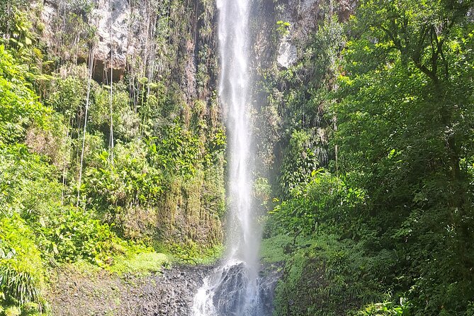 Scenic Tour of City and Rainforest, Waterfall, Sulphur Springs . - Dominica Botanic Gardens: plants, history, and breathing room