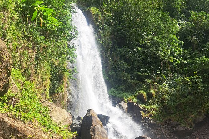 Scenic Tour of City and Rainforest, Waterfall, Sulphur Springs . - Titou Gorge: a cold, rocky swim to a waterfall