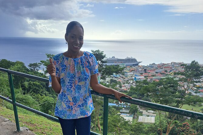 Scenic Tour of City and Rainforest, Waterfall, Sulphur Springs . - Trafalgar Falls: beautiful, busy, and more physical than expected