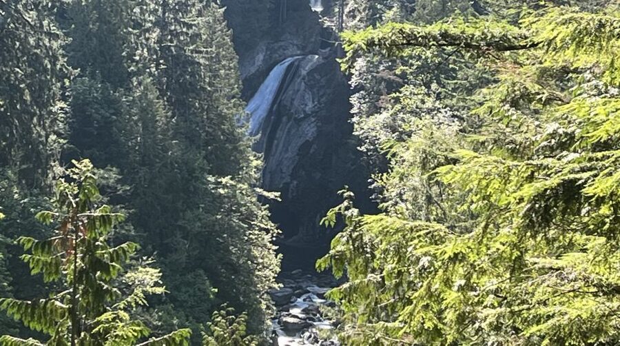 Seattle: Snoqualmie Falls and Twin Falls Guided Tour - Why this half-day trip works from Seattle