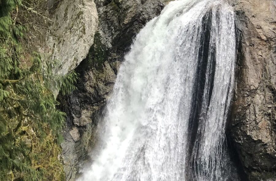 Seattle: Snoqualmie Falls and Twin Falls Guided Tour - Should you book the Snoqualmie Falls and Twin Falls tour?