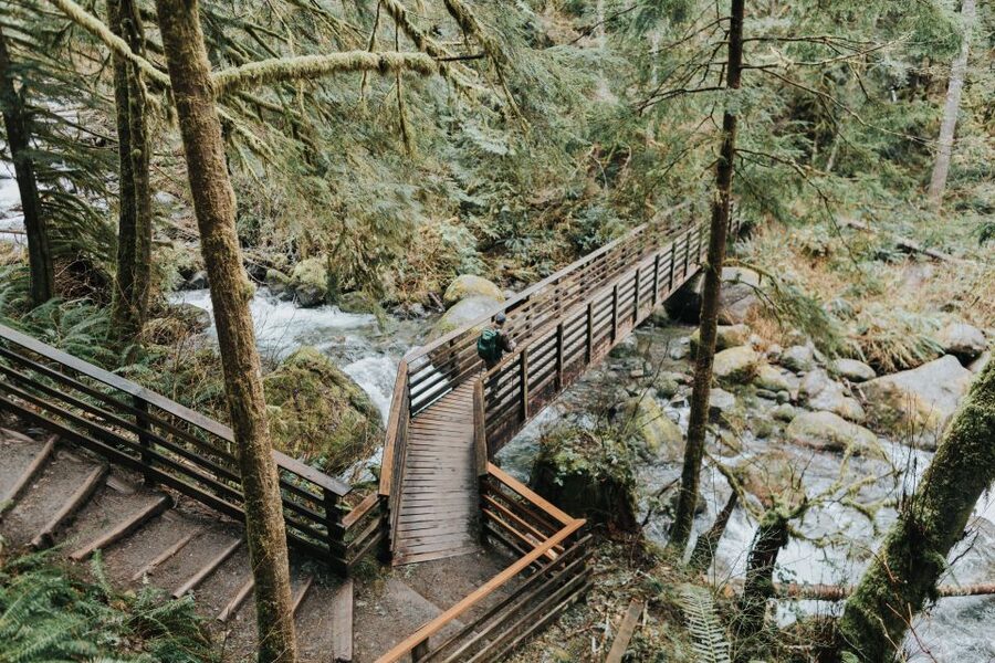 Seattle: Waterfall Wonderland Hike in Wallace Falls Park - Key points to know before you book