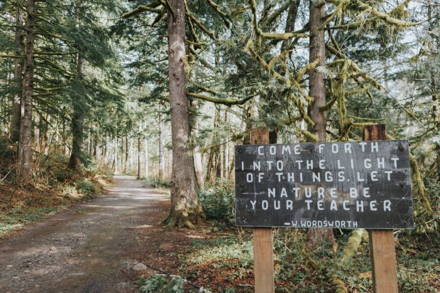 Seattle: Waterfall Wonderland Hike in Wallace Falls Park - Lunch, snacks, and supplied equipment