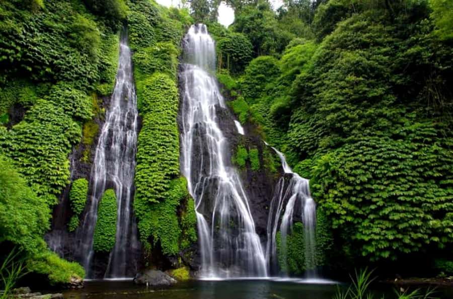 Sekumpul & Banyumala Waterfalls – Private North Bali Tour - Why North Bali feels different from the beach areas