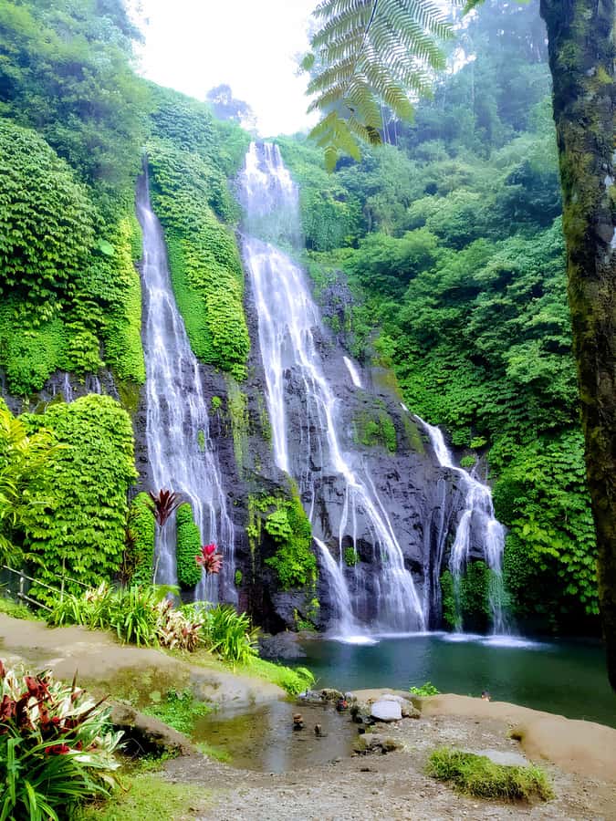 Sekumpul & Banyumala Waterfalls – Private North Bali Tour - Banyumala Twin Waterfall and its natural pool