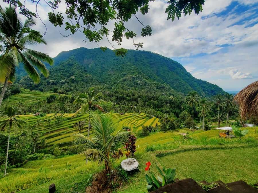 Sekumpul & Banyumala Waterfalls – Private North Bali Tour - Lunch, coffee, and a break at Wanagiri