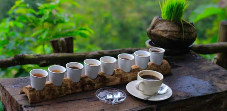 Sekumpul & Banyumala Waterfalls – Private North Bali Tour - Is $77 per person good value?