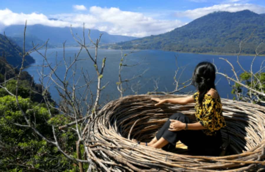 Sekumpul & Banyumala Waterfalls – Private North Bali Tour - Who should book this waterfall day?
