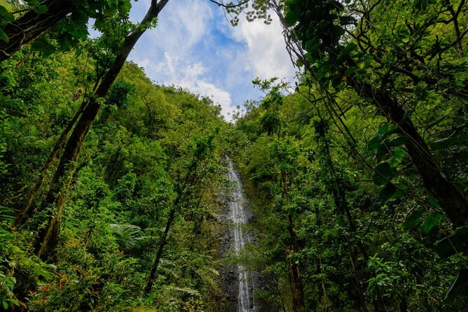 Self guided Hike Trail to Nature Walk & Waterfall - Manoa’s sugarcane and coffee story
