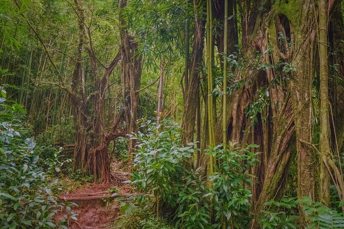 Self guided Hike Trail to Nature Walk & Waterfall - Timing, pickup, and group size