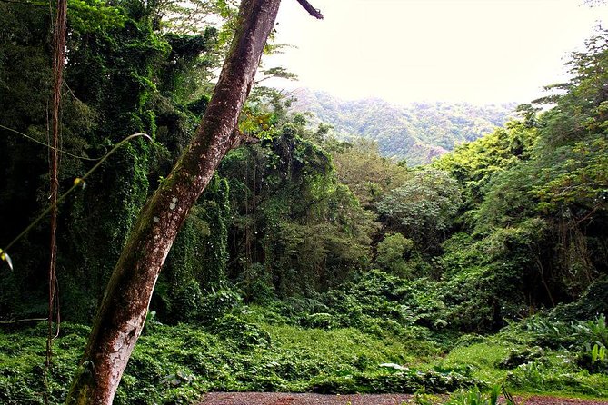 Self guided Hike Trail to Nature Walk & Waterfall - What to wear and carry for the trail