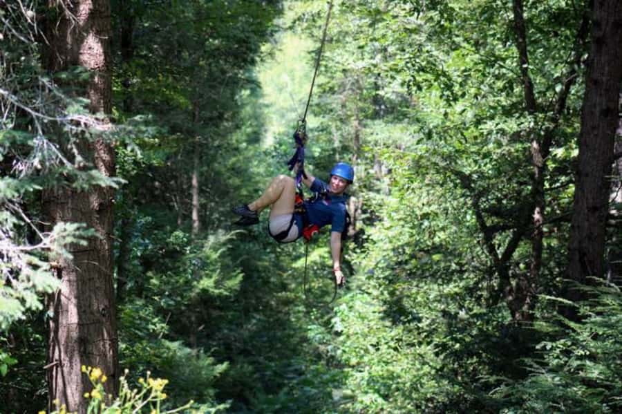 Sevierville: Waterfall Canopy Zip Lining in Smoky Mountains - Guides, equipment, and braking