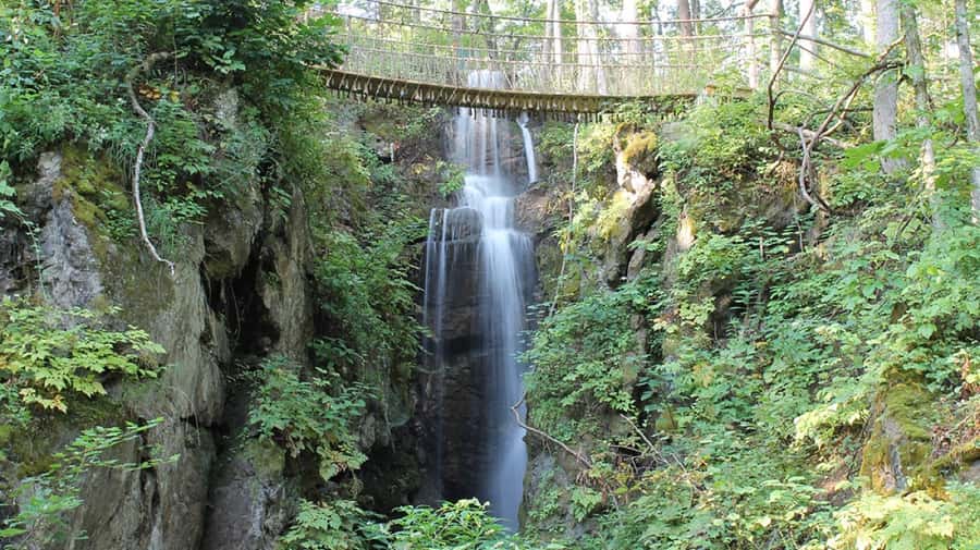 Sevierville: Waterfall Canopy Zip Lining in Smoky Mountains - The views are the main reward