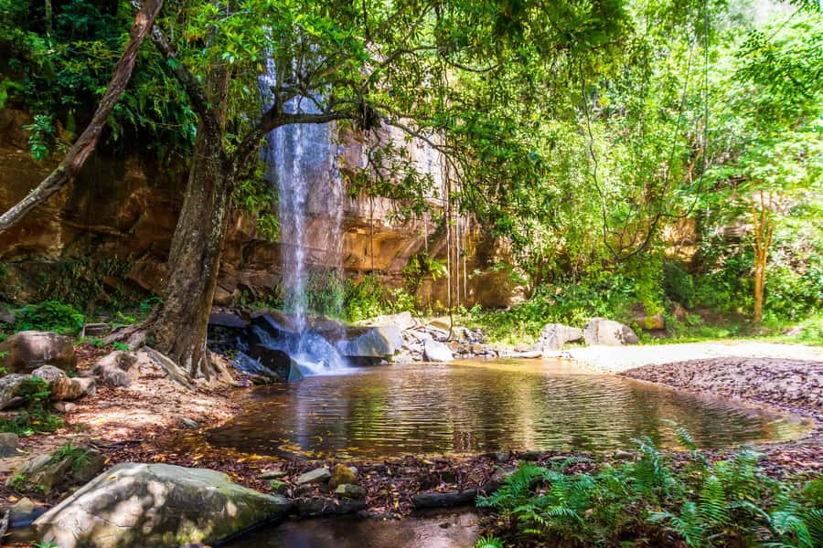 Shimba Hills Day Safari & Sheldrick Falls Hike Private Tour - Why Shimba Hills makes a good coastal safari