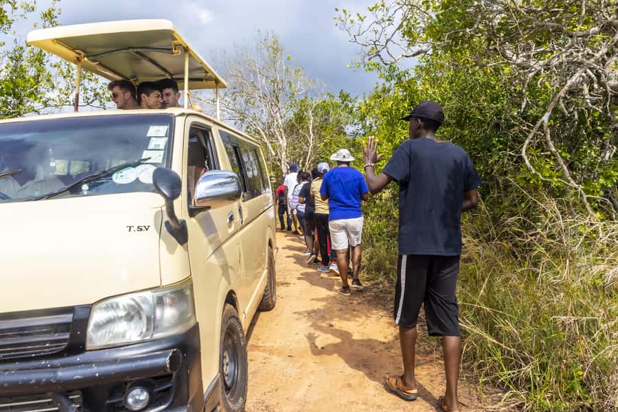 Shimba Hills Day Safari & Sheldrick Falls Hike Private Tour - The Sheldrick Falls walk is beautiful but not gentle