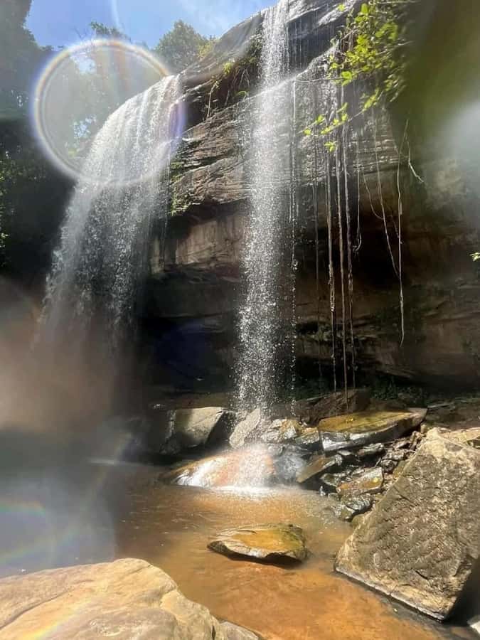 Shimba Hills: Game Drive, Waterfall Hike, and Lunch - Leaving Diani Beach or Mombasa for the hills
