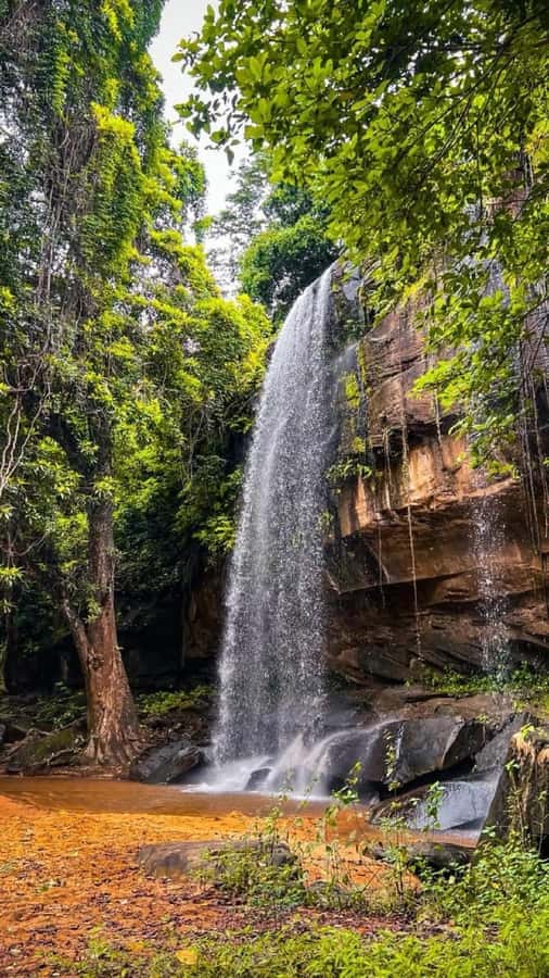Shimba Hills: Game Drive, Waterfall Hike, and Lunch - The moderate trail to Sheldrick Falls