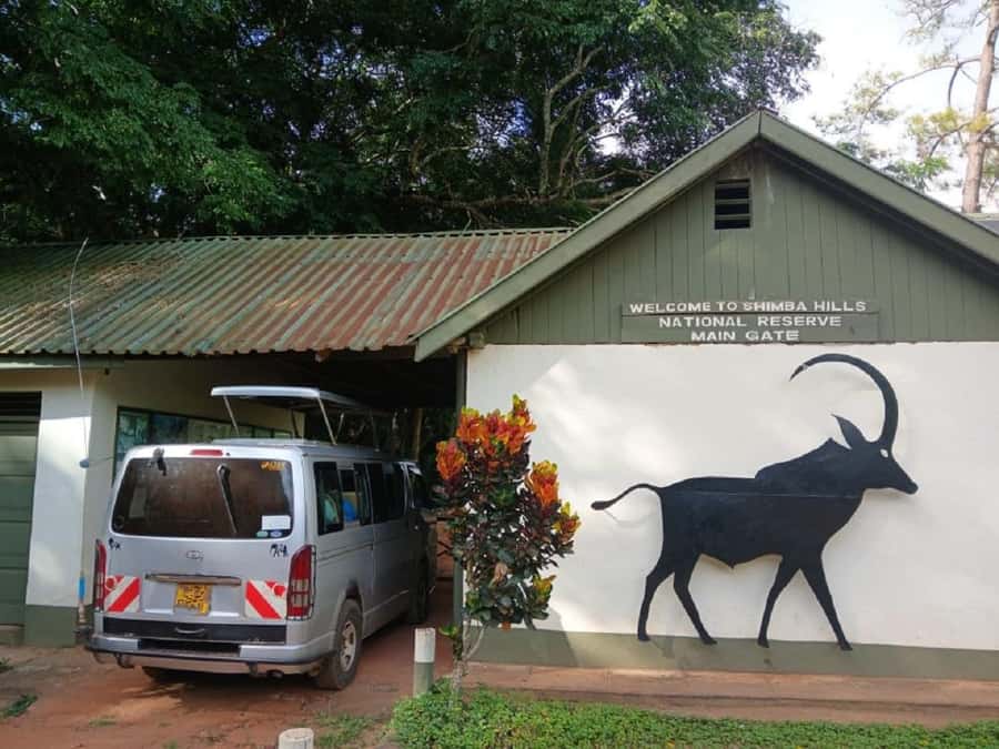 Shimba Hills: Game Drive, Waterfall Hike, and Lunch - Four hours among Shimba Hills wildlife