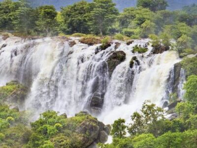 Shivanasamudra Waterfalls & Ancient Somnathpur Tour