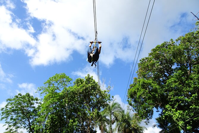 Shore Excursion: Quick Zip and Waterfalls of Damajagua Adventure - Is $94.99 a fair price?