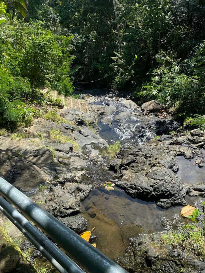 Sidemen activities (silverclass,tourwaterfall) - Who should book this experience?