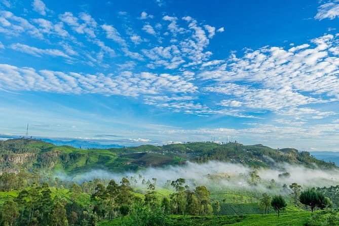 Sightseeing tour Ella & Diyaluma waterfall by car - What the private car and guide add